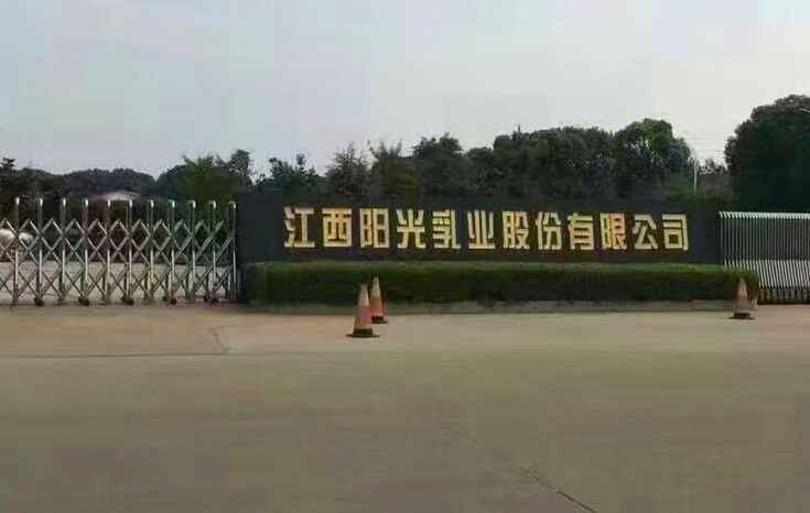 江西陽光乳業環氧自流平彩砂地坪工程